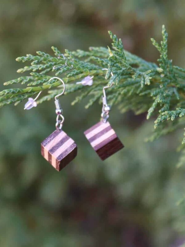 Pendientes Artesanales de Madera Geométricos (Nogal y Haya)